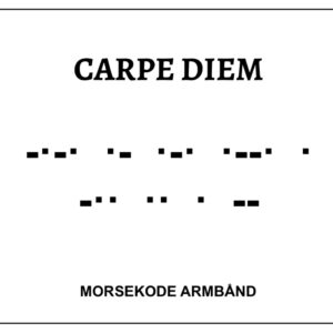 Morsekode armbånd - carpe diem
