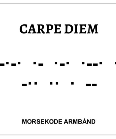 Morsekode armbånd - carpe diem